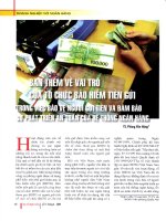 Bàn thêm về vai trò của tổ chức bảo hiểm tiền gửi trong việc bảo vệ người gửi tiền và đảm bảo sự phát triển an toàn của hệ thống ngân hàng 