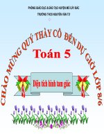 Bài giảng bài diện tích hình tam giác toán 5 (4) 