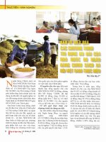 Bàn về hiệu quả các chương trình tín dụng ưu đãi của nhà nước do ngân hàng chính sách xã hội việt nam thực hiện 