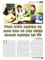 Phát triển nghiệp vụ mua bán và sáp nhập doanh nghiệp tại VN 
