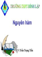 Bài giảng bài nguyên hàm giải tích 12 (6) 