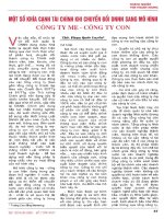 Một số khía cạnh tài chính khi chuyển đổi DNNN sang mô hình công ty mẹ   công ty con 