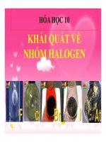 Bài giảng bài khái quát về nhóm halogen hóa học 10 (3) 