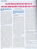 Giải pháp nâng cao hiệu quả hoạt động của các ngân hàng thương mại nước ta trong hội nhập kinh tế quốc tế 