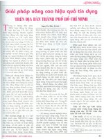 Giải pháp nâng cao hiệu quả tín dụng trên địa bàn thành phố hồ chí minh 