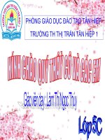 Bài giảng bài diện tích hình tam giác toán 5 (7) 