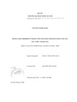 ĐỊNH LƯỢNG BERBER1N TRONG VIÊN nén BẢNG PHƯƠNG PHÁP tạo cặp ION  CHIÉT đo QUANG 