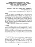 NGHIÊN cứu ĐÁNH GIÁ QUÁ TRÌNH CHÁY của ĐỘNG cơ DIESEL DÙNG hệ THỐNG PHUN KIỂU COMMON RAIL KHI sử DỤNG DIESEL và BIODIESEL b20