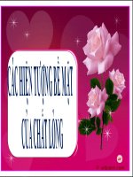 Bài giảng bài các hiện tượng bề mặt của chất lỏng vật lý 10 (2) 