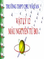 Bài giảng bài mẫu nguyên tử bo vật lý 12 (7) 