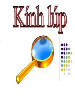 Bài giảng bài kính lúp vật lý 11 (7) 