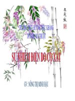 Bài giảng bài sự nhiễm điện do cọ xát vật lý lớp 7 (5) 