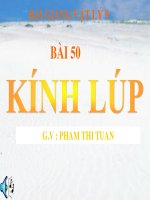 Bài giảng bài kính lúp vật lý 9 (4) 