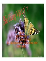 Bài giảng bài tác dụng từ, tác dụng hóa học và tác dụng sinh lí của dòng điện vật lý 7 (6) 