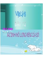 Bài giảng bài thực hành xác định khối lượng riêng của sỏi vật lý 6 (7) 