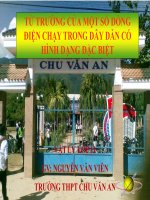 Bài giảng bài từ trường của dòng điện chạy trong các dây dẫn có hình dạng đặc biệt vật lý 11 (10) 