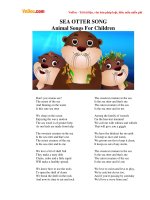 Video học Tiếng Anh cho trẻ em: Sea Otter Song