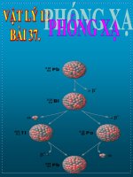 Bài giảng bài phóng xạ vật lý 12 