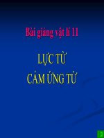 Bài giảng bài lực từ, cảm ứng từ vật lý 11 (8) 