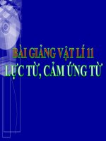 Bài giảng bài lực từ, cảm ứng từ vật lý 11 (10) 