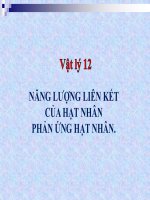 Bài giảng bài năng lượng liên kết của hạt nhân và phản ứng hạt nhân vật lý 12 (3) 