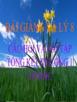 Bài giảng bài câu hỏi và bài tập tổng kết chương cơ học vật lý 8 (8) 