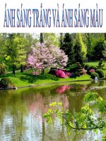 Bài giảng bài ánh sáng trắng và ánh sáng màu vật lý 9 (6) 