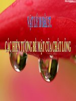 Bài giảng bài các hiện tượng bề mặt của chất lỏng vật lý 10 (9) 