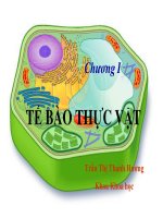 Bài giảng Thực vật và phân loại thực vật  Chương 1: Tế bào thực vật