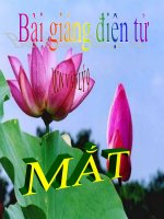 Bài giảng bài mắt vật lý 9 