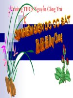 Bài giảng bài sự nhiễm điện do cọ xát vật lý lớp 7 (10) 