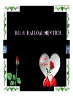 Bài giảng bài hai loại điện tích vật lý 7 (7) 