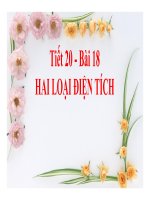 Bài giảng bài hai loại điện tích vật lý 7 (8) 