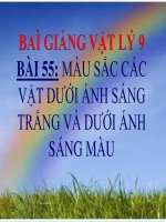 Bài giảng bài màu của vật dưới ánh sáng trắng và dưới ánh sáng màu vật lý 9 (3) 