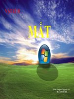 Bài giảng bài mắt vật lý 11 (9) 