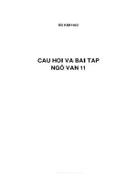 Câu hỏi trắc nghiệm ngữ văn 11