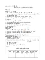 Giáo án TNXH 2 bài một số loài cây sống dưới nước (2) 