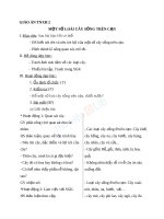 Giáo án TNXH 2 bài một số loài cây sống trên cạn (5) 