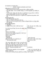 Giáo án TNXH 2 bài phòng tránh ngộ độc khi ở nhà (4) 