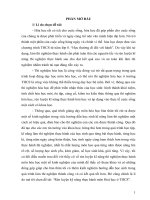 skkn rèn luyện kỹ năng thực hành môn hoá học ở THCS 