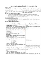 Giáo án TNXH 2 bài nhận biết cây cối và các con vật (4) 