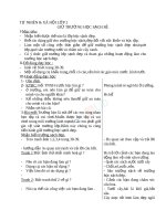 Giáo án TNXH 2 bài thực hành giữ trường học sạch đẹp (5) 