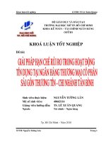 giải pháp hạn chế rủi ro trong hoạt động tín dụng tại ngân hàng thương mai cổ phẩn sài gòn thương tín chi nhánh tân bình
