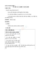 Giáo án khoa học 4 bài ôn tập con người và sức khỏe (2) 