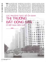 Các phương thức để ổn định thị trường bất động sản ở việt nam hiện nay 