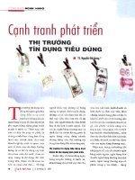 cạnh tranh phát triển thị trường tín dụng tiêu dùng 