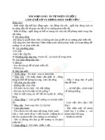 Giáo án TNXH 2 bài làm gì để xương và cơ phát triển tốt (5) 