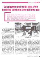 Các nguyên tắc cơ bản phát triển hệ thống bảo hiểm tiền gửi hiệu quả 