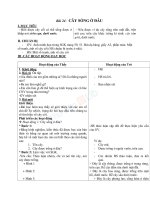 Giáo án TNXH 2 bài cây sống ở đâu (6) 