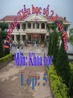 Bài giảng khoa học tự nhiên và xã hội thao giảng nam hay nữ (1) 